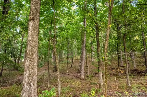 0 Highway D - Tract 6 (23.6+/- Acres), Eolia, MO 63344