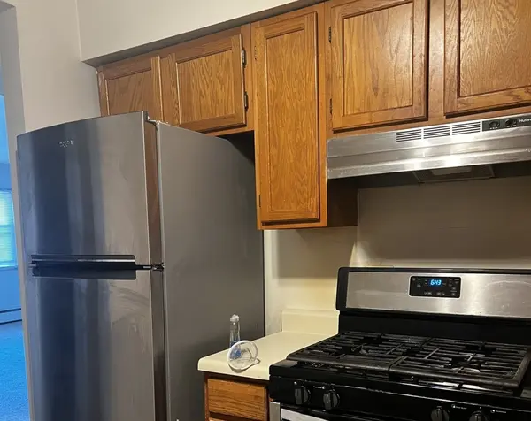 214 S Oak Park AVE S #5, Oak Park, IL 60302