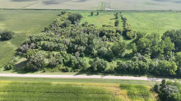 81581 275th ST, Hollandale, MN 56045