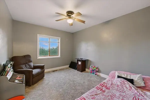 1721 Wildhorn RD, Florissant, CO 80816
