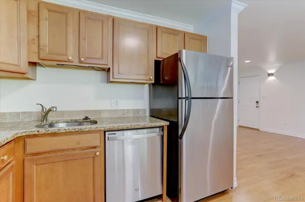 1330 Race ST #4, Denver, CO 80206