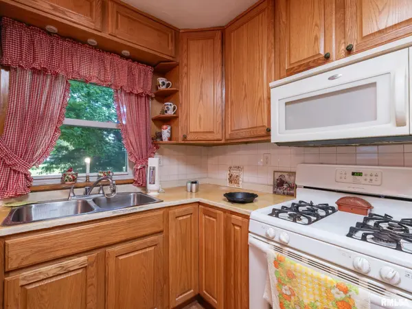 304 DAVIS CT, Tremont, IL 61568