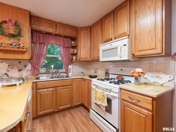 304 DAVIS CT, Tremont, IL 61568