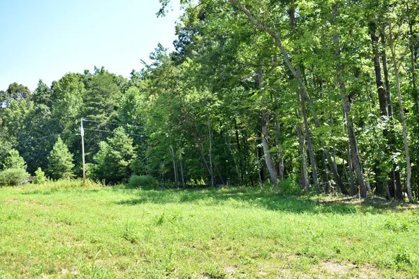 521 Norton Road, Ten Mile, TN 37880