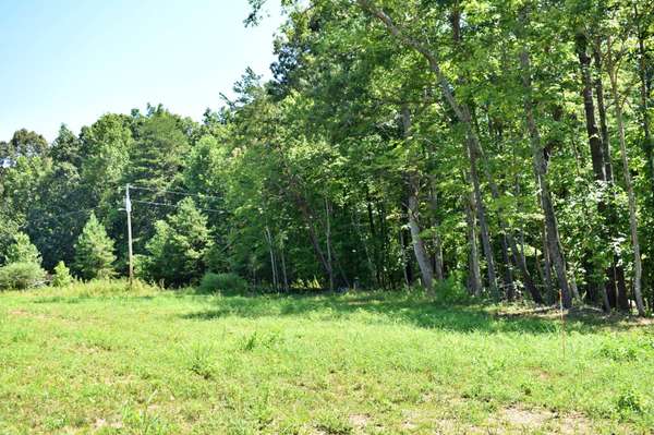 521 Norton Road, Ten Mile, TN 37880