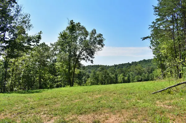 521 Norton Road, Ten Mile, TN 37880