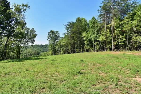 521 Norton Road, Ten Mile, TN 37880