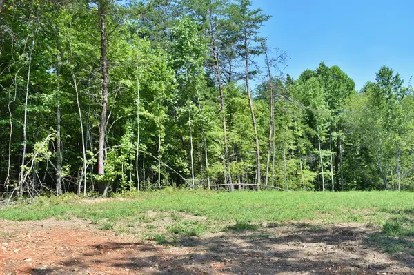 521 Norton Road, Ten Mile, TN 37880
