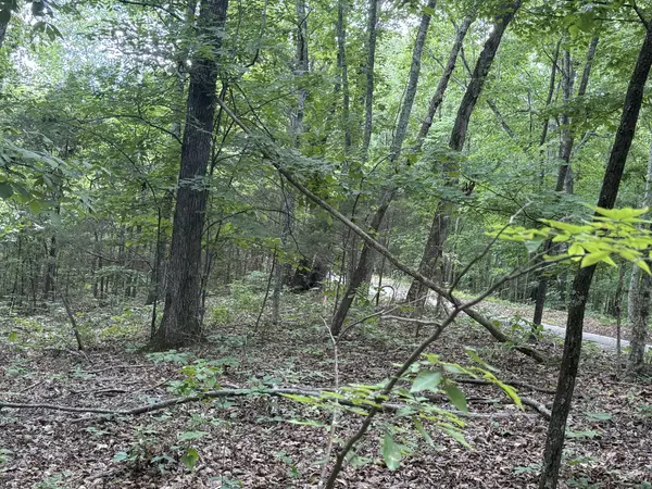 0 Jack Holt Rd, Prospect, TN 38477