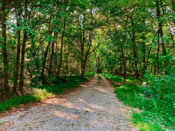 1006 Clearview Pt, Cottontown, TN 37048