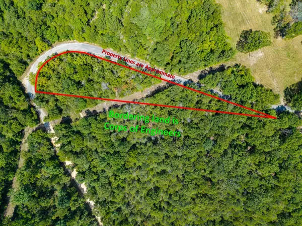 Lot 1 County Road 635, Theodosia, MO 65761