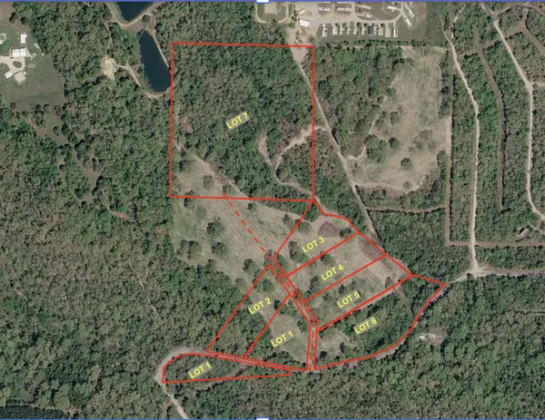 Lot 1 County Road 635, Theodosia, MO 65761