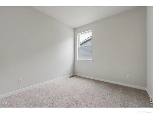 819 Mesic LN, Windsor, CO 80550
