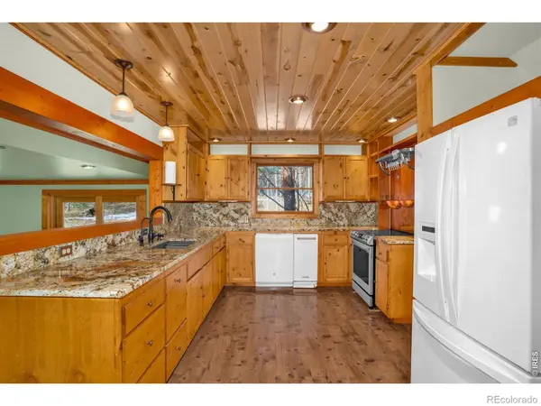 251 Haugen Slide RD, Allenspark, CO 80510