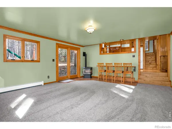 251 Haugen Slide RD, Allenspark, CO 80510