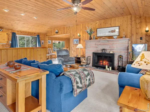 839 Ski RD, Allenspark, CO 80510