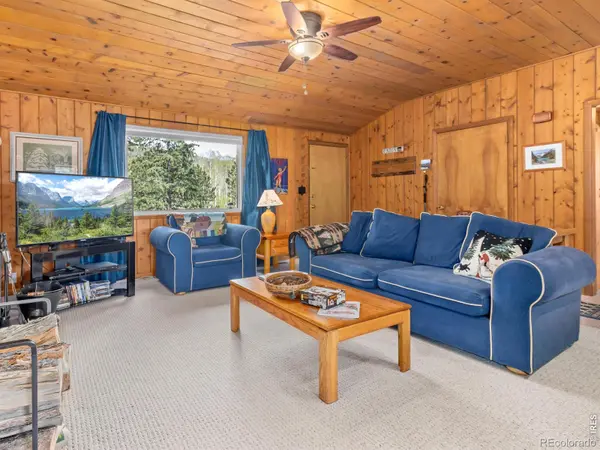 839 Ski RD, Allenspark, CO 80510