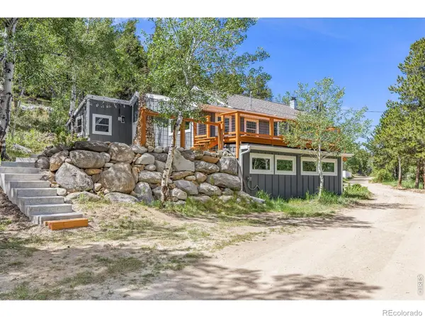 38 E Pine ST, Nederland, CO 80466