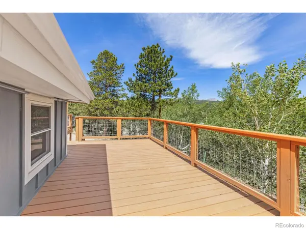 38 E Pine ST, Nederland, CO 80466