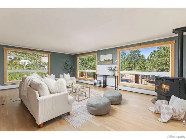 38 E Pine ST, Nederland, CO 80466