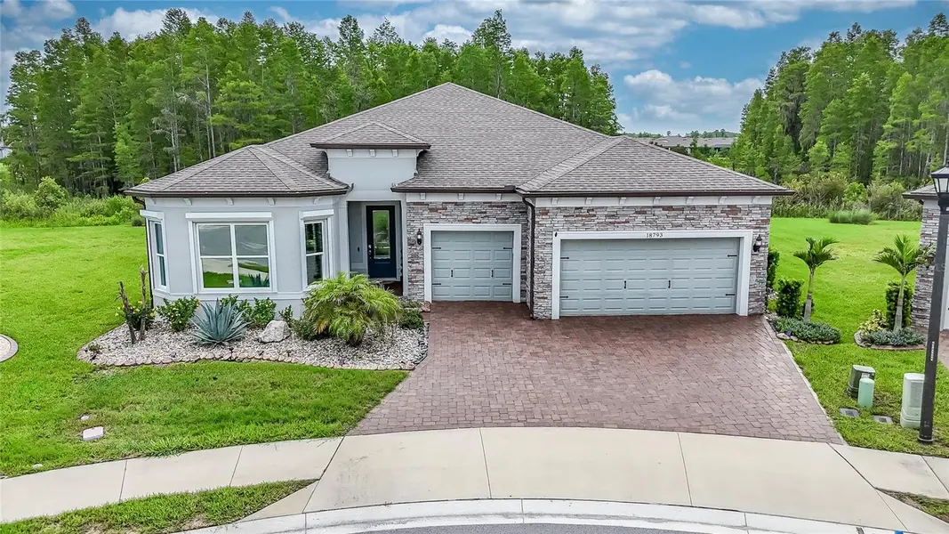 18793 HORIZON VIEW PT, Land O Lakes, FL 34638