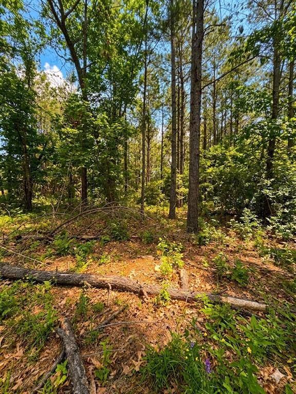 86 Southern Locust TRL, Broken Bow, OK 74728