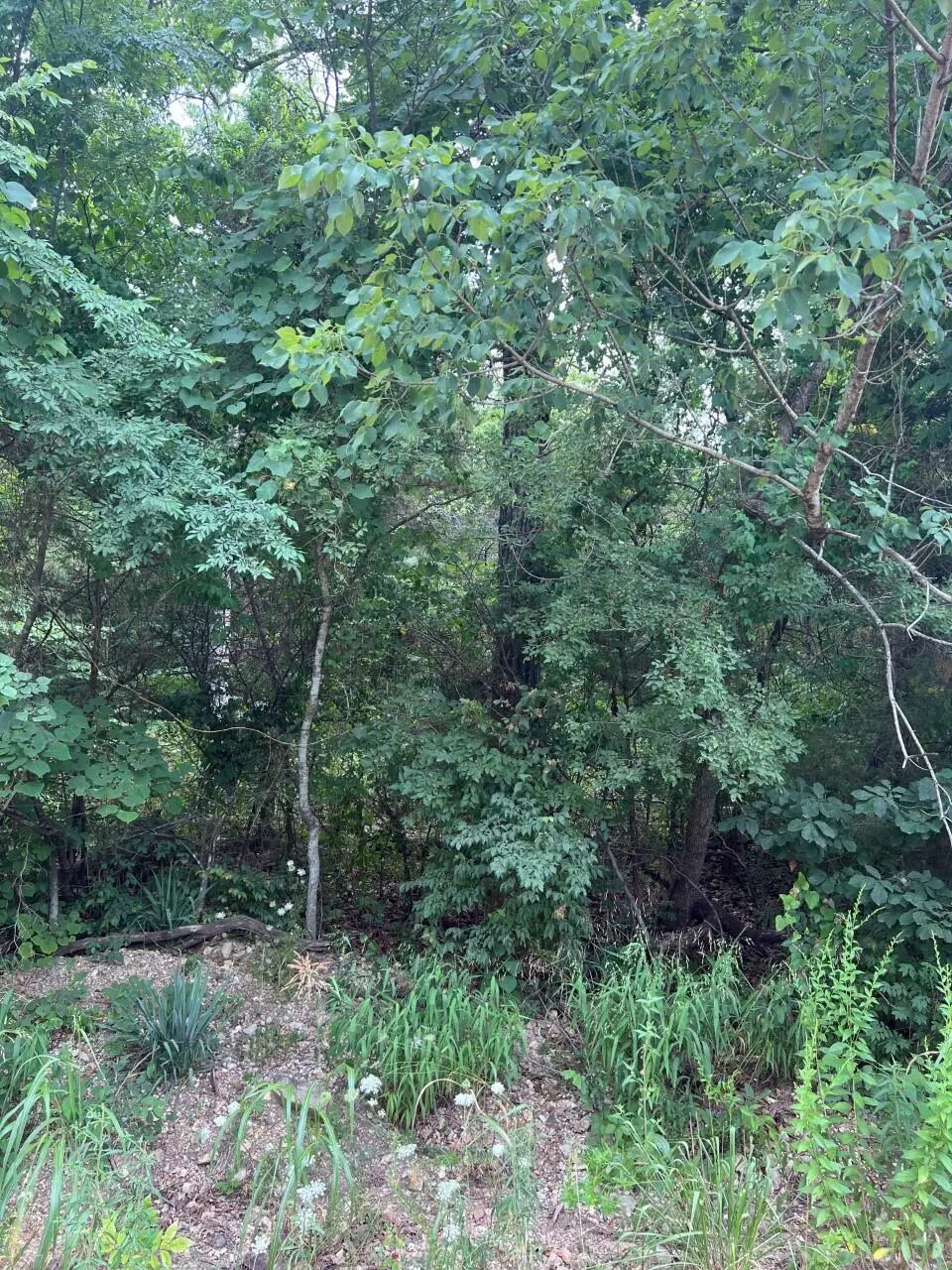 Lot 30 Bluebird Rd, Merriam Woods, MO 65740