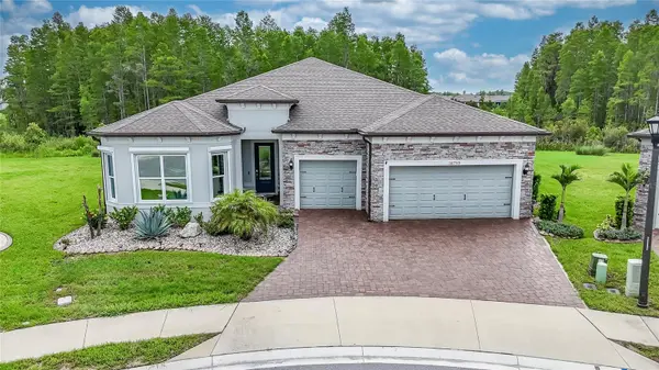 18793 HORIZON VIEW PT, Land O Lakes, FL 34638