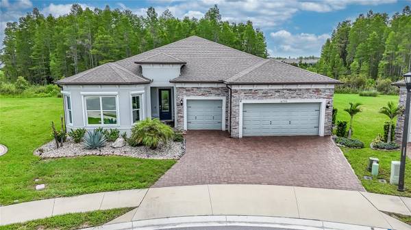 18793 HORIZON VIEW PT, Land O Lakes, FL 34638