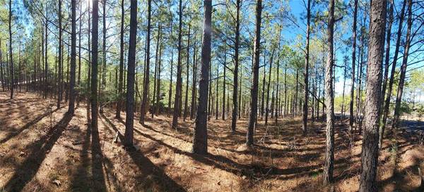 Timberline TRL, Broken Bow, OK 74728