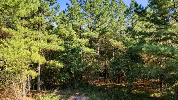 38 Oakley TRL, Broken Bow, OK 74728