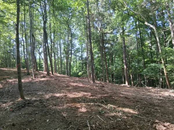 745 October Drive, Smithville, TN 37166