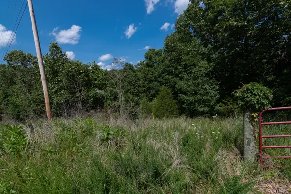 000 Us Hwy 65, Walnut Shade, MO 65771