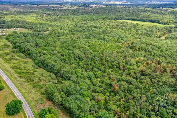 Lot 1 Tbd P Highway, Eagle Rock, MO 65641