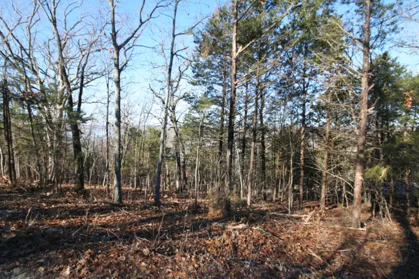 Lot 4, 5, 6 Scrolling Drive,  Reeds Spring,  MO 65737