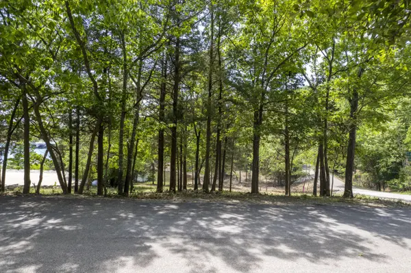 126 Longshore Drive, Blue Eye, MO 65611