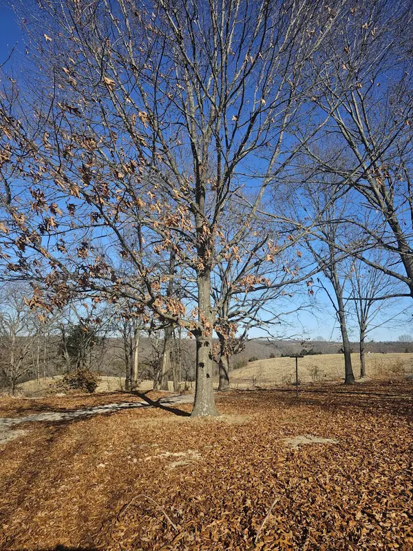 18552 Boat Dock Road W Road, Omaha, AR 72662