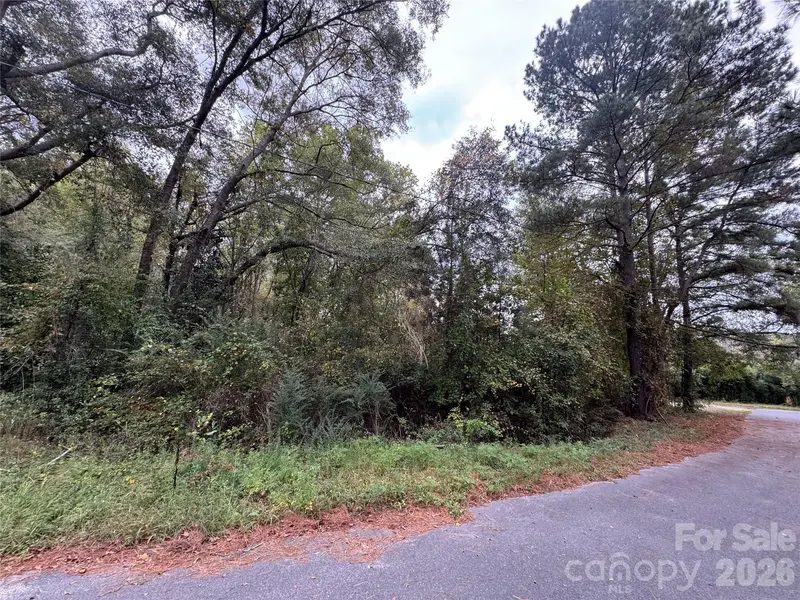 00 ellen DR, Hamlet, NC 28345