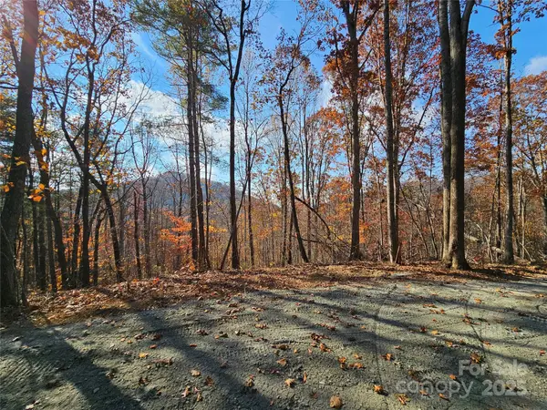 9999-18 Bob Barnwell RD, Asheville, NC 28803