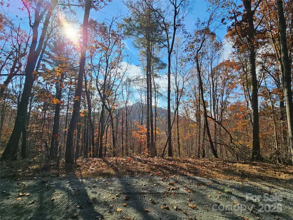 9999-18 Bob Barnwell RD, Asheville, NC 28803