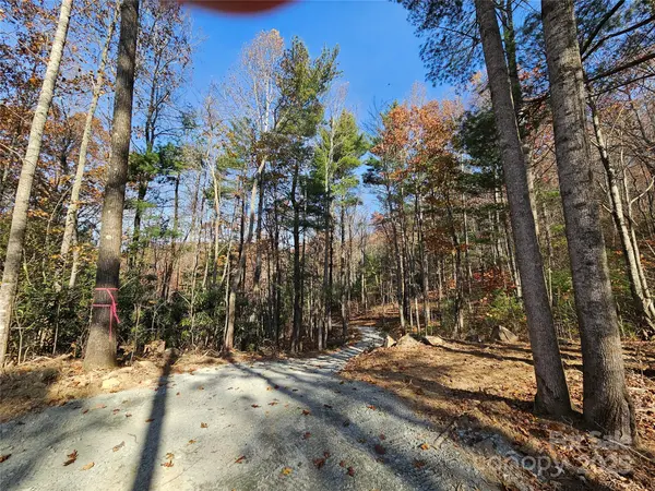 9999-18 Bob Barnwell RD, Asheville, NC 28803