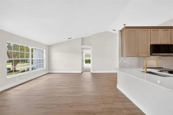 294 LAKE DOE BLVD, Apopka, FL 32703