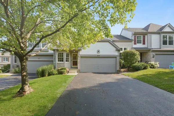 419 Orleans AVE, Naperville, IL 60565