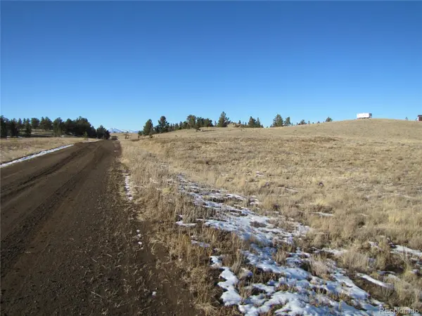 487 Falcon RD, Hartsel, CO 80449