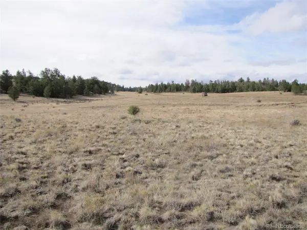 487 Falcon RD, Hartsel, CO 80449