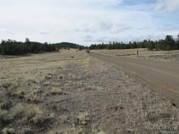 487 Falcon RD, Hartsel, CO 80449