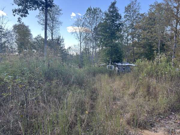 769 Preston Baggett Rd, Cumberland City, TN 37050