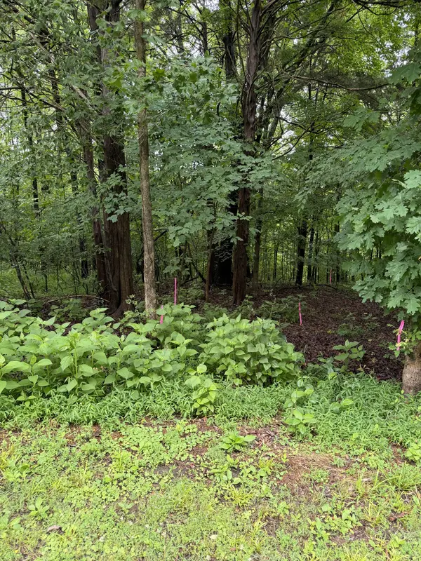 0 Elklore Avenue, Estill Springs, TN 37330