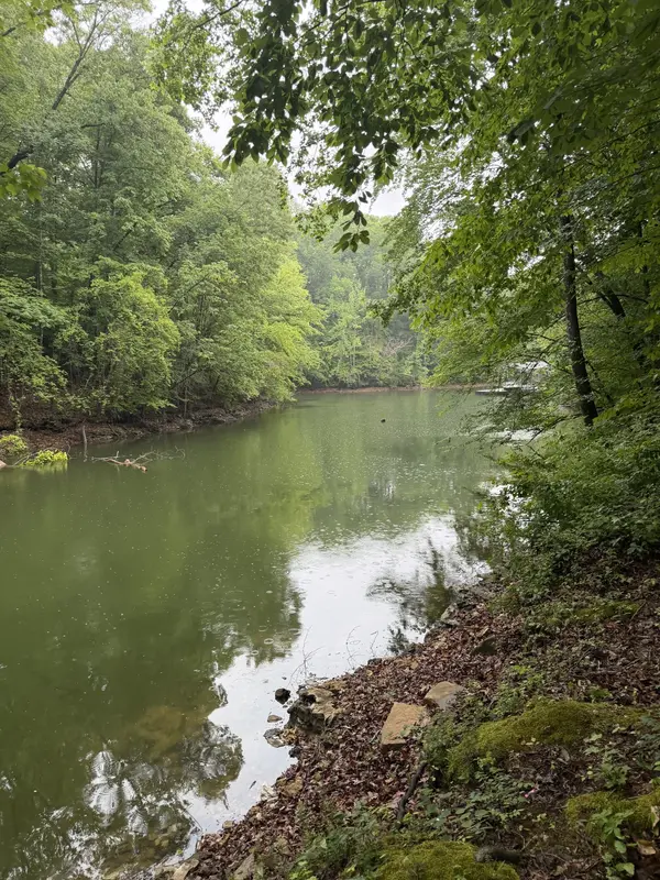 0 Elklore Avenue, Estill Springs, TN 37330