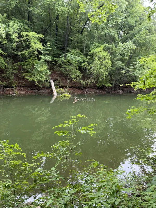 0 Elklore Avenue, Estill Springs, TN 37330